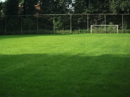 petit-terrain-foot
